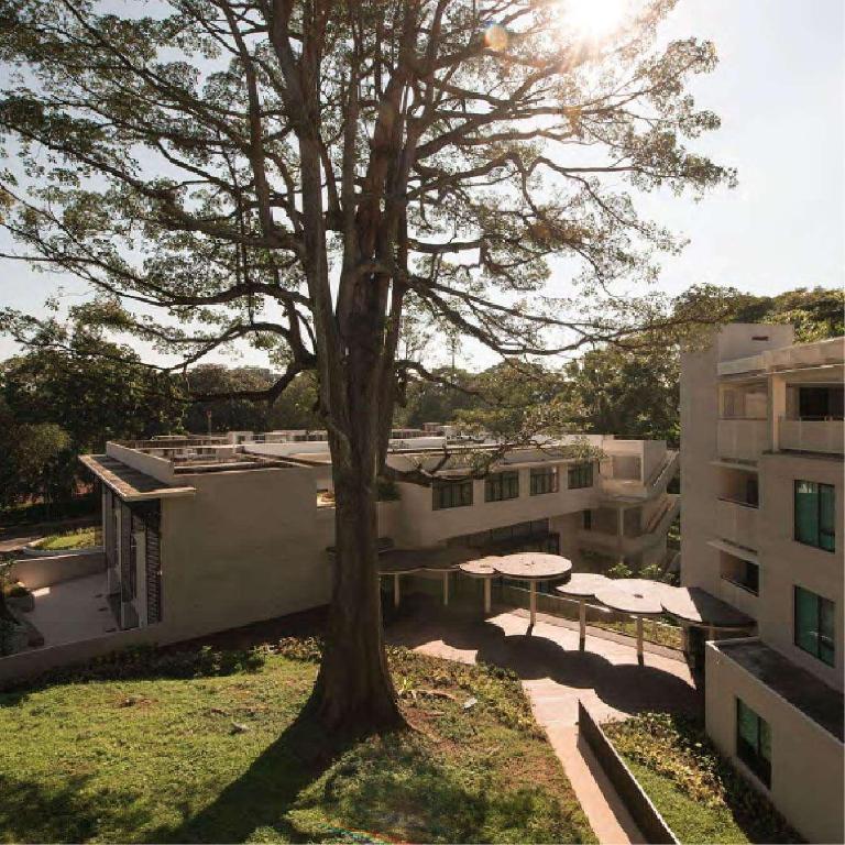 Khẽ Lắng Nghe Singapore: Nơi Chốn Bình Yên Cho Tâm Hồn Lữ Khách Tinh Tế